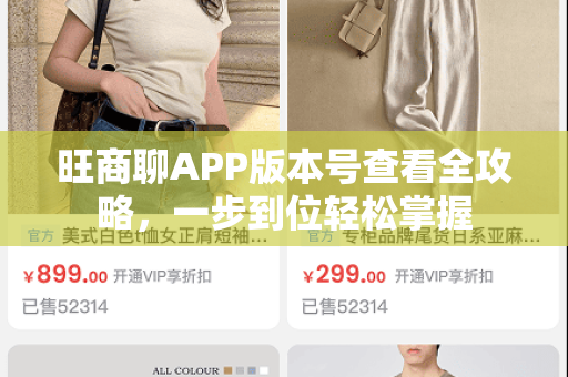 旺商聊APP版本号查看全攻略，一步到位轻松掌握